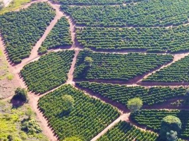 Sítio e chácara venda em Região Geográfica Imediata de Varginha, Varginha