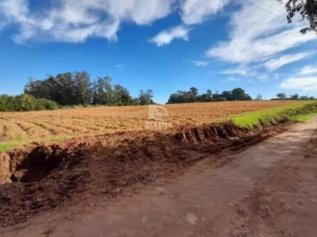 Sítio e chácara venda em Região Geográfica Imediata de Santa Cruz do Sul, Vera Cruz
