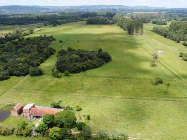 Sítio e chácara venda em Região Geográfica Imediata de Santa Cruz do Sul, Vera Cruz
