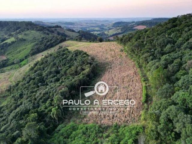 Sítio e chácara venda em Região Geográfica Imediata de Francisco Beltrão, Verê