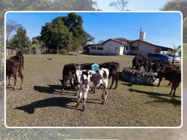 Sítio e chácara venda em Cerquilho
