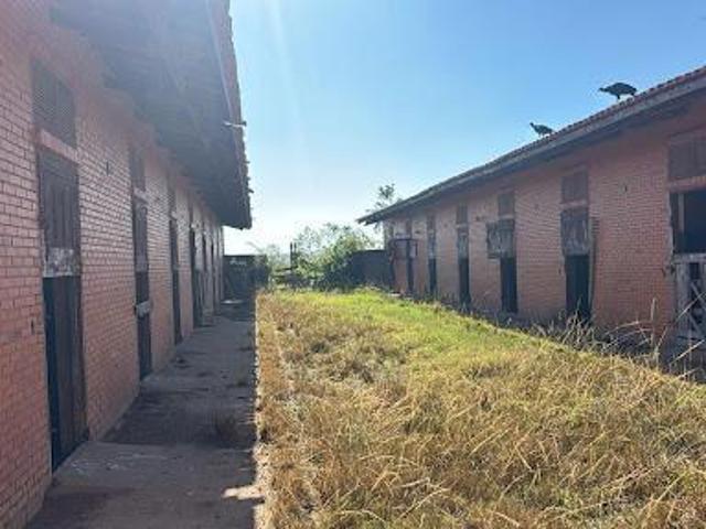 Sítio e chácara venda em Residencial Salles Gomes, Cesário Lange