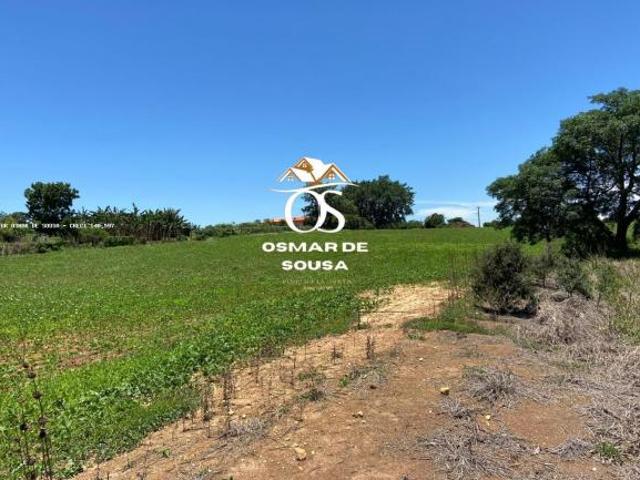 Sítio e chácara venda em Centro, Cesário Lange