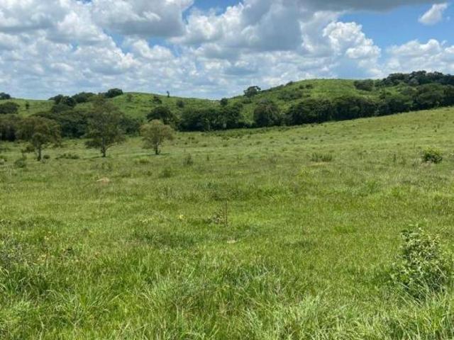 Sítio e chácara venda em Região Imediata de Campinas, Região Metropolitana de Campinas