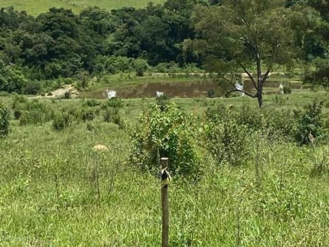Sítio e chácara venda em Região Imediata de Campinas, Região Metropolitana de Campinas