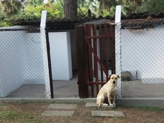 Sítio e chácara venda em Região Imediata de São Paulo, Região Metropolitana de São Paulo
