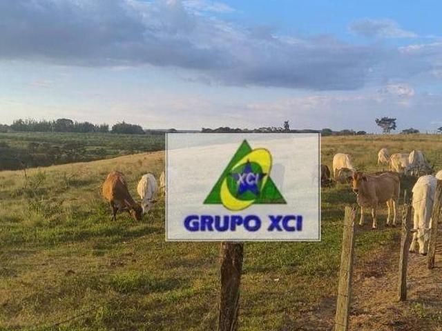 Sítio e chácara venda em Jardim do Bosque, Charqueada