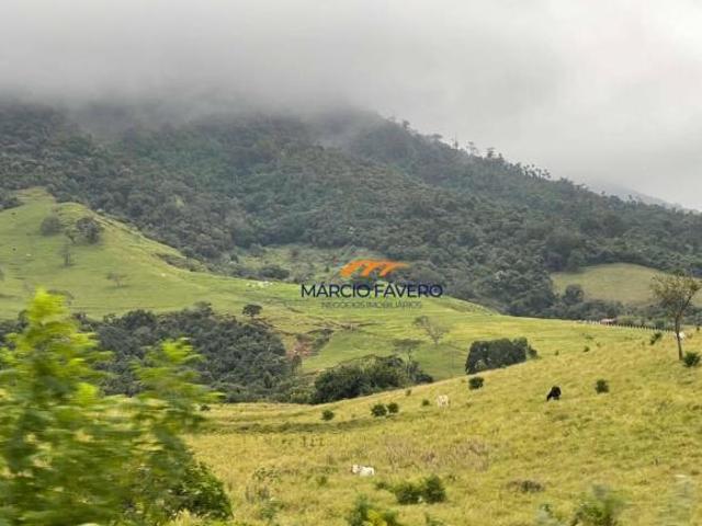 Sítio e chácara venda em Jardim do Bosque, Charqueada