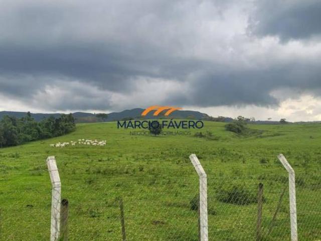 Sítio e chácara venda em Jardim do Bosque, Charqueada