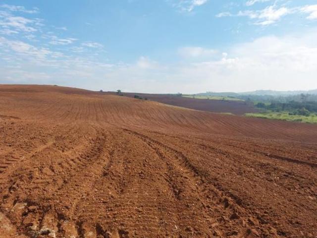 Sítio e chácara venda em Região Imediata de Piracicaba, Região Metropolitana de Piracicaba