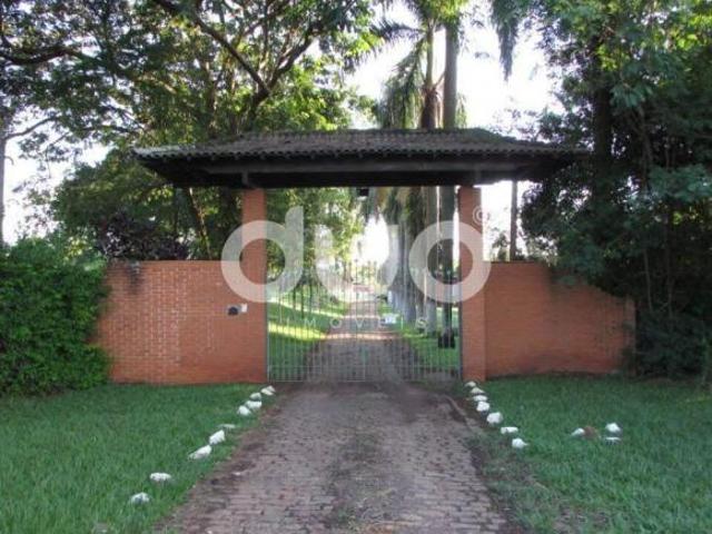 Sítio e chácara venda em Aguaí