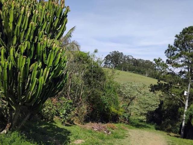 Sítio e chácara venda em Ibiúna