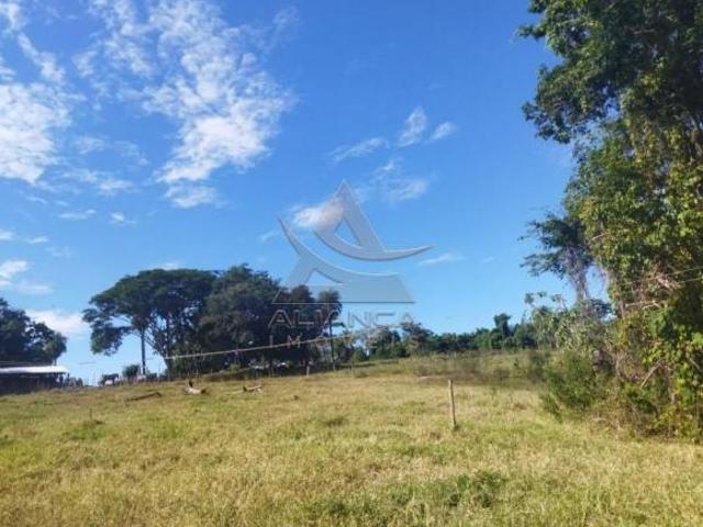 Sítio e chácara venda em Região Imediata de São José do Rio Pardo-Mococa, Região Metropolitana de Ribeirão Preto