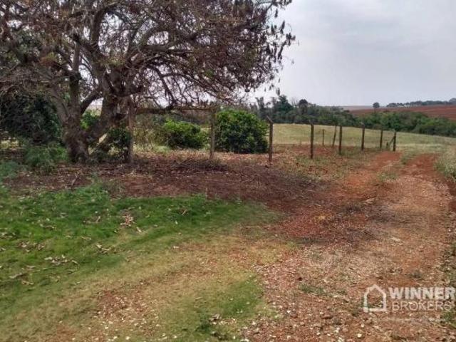 Sítio e chácara venda em Região Geográfica Imediata de Maringá, Maringá