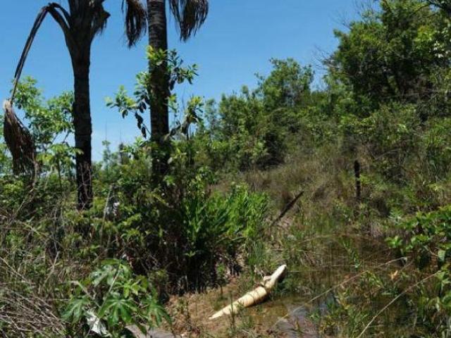 Sítio e chácara venda em Região Geográfica Imediata de Uberlândia, Oliveira Fortes