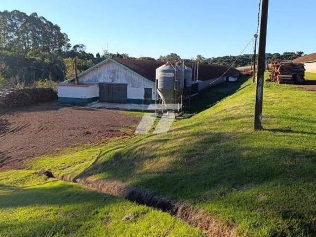 Sítio e chácara venda em Corbélia, Região Geográfica Intermediária de Cascavel