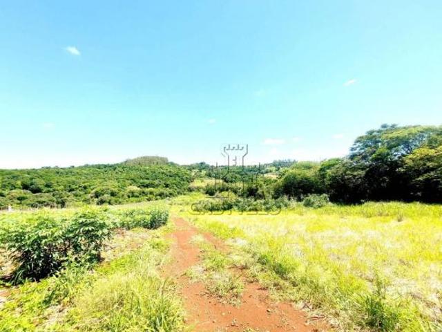 Sítio e chácara venda em Região Geográfica Imediata de Londrina, Londrina