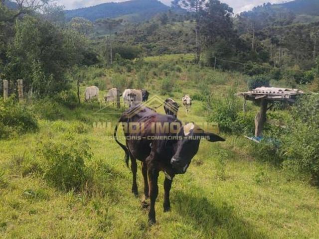 Sítio e chácara venda em Córrego do Bom Jesus, Região Geográfica Intermediária de Pouso Alegre