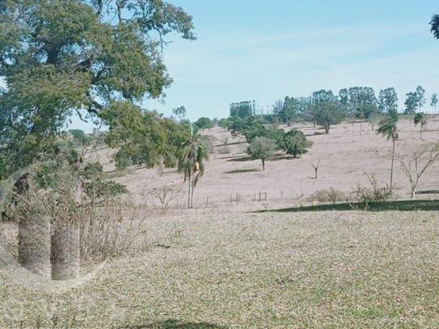 Sítio e chácara venda em Região Imediata de Rio Claro, Região Metropolitana de Piracicaba