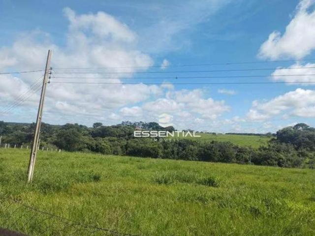 Sítio e chácara venda em Região Imediata de Votuporanga, Cosmorama
