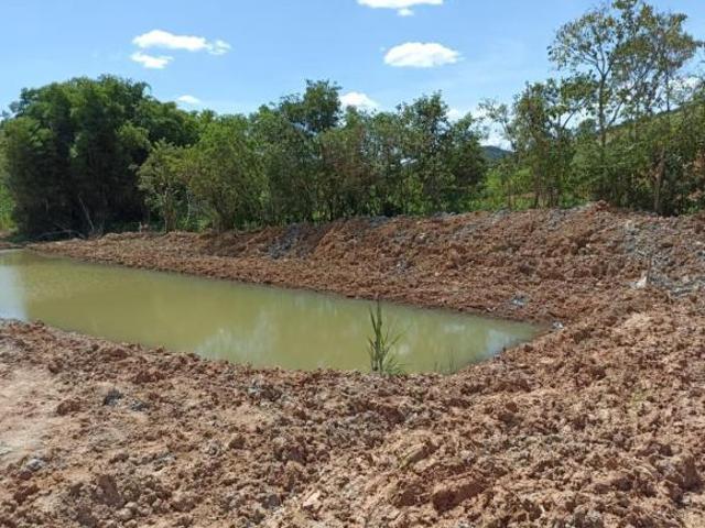 Sítio e chácara venda em Crucilândia, Região Geográfica Intermediária de Divinópolis