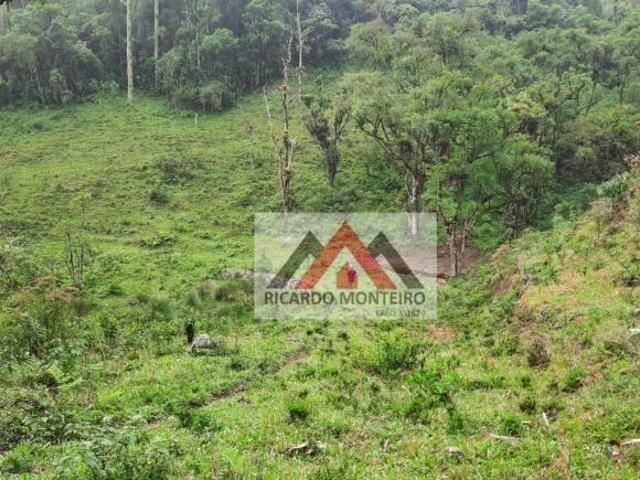 Sítio e chácara venda em Região Imediata de Guaratinguetá, Região Metropolitana do Vale do Paraíba e Litoral Norte
