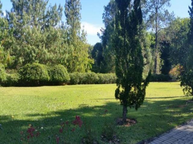 Sítio e chácara venda em Região Imediata de Guaratinguetá, Região Metropolitana do Vale do Paraíba e Litoral Norte