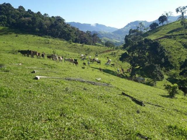 Sítio e chácara venda em Região Geográfica Imediata de Itajubá, Delfim Moreira