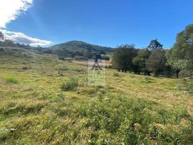 Sítio e chácara venda em Região Geográfica Imediata de Caxias do Sul, Caxias do Sul