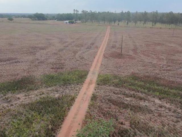 Sítio e chácara venda em Região Geográfica Imediata de Diamantino, Diamantino