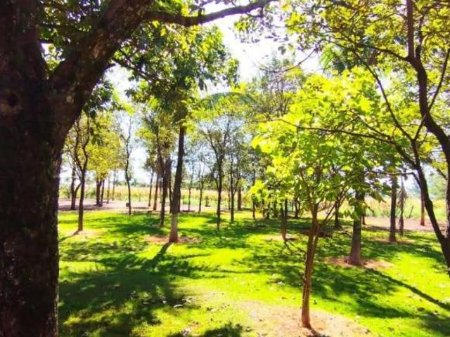 Sítio e chácara venda em Guaçu, Dourados