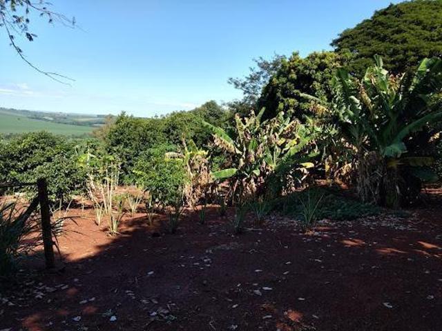 Sítio e chácara venda em Região Geográfica Imediata de Maringá, Doutor Camargo