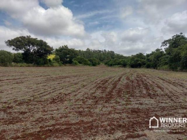 Sítio e chácara venda em Doutor Camargo, Região Geográfica Intermediária de Maringá