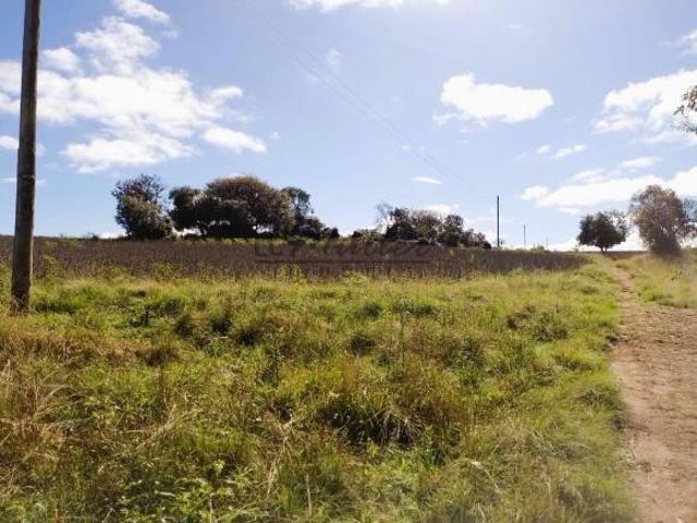 Sítio e chácara venda em Região Geográfica Imediata de Santa Cruz do Sul, Encruzilhada do Sul