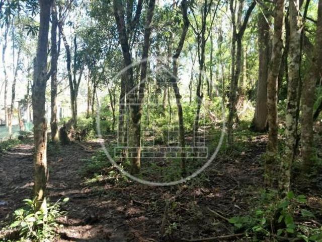 Sítio e chácara venda em Região Imediata de São Paulo, Região Metropolitana de São Paulo
