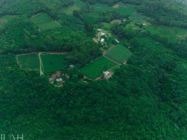 Sítio e chácara venda em Região Geográfica Imediata de Caxias do Sul, Farroupilha