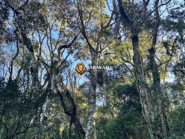 Sítio e chácara venda em Região Geográfica Imediata de Caxias do Sul, Caxias do Sul