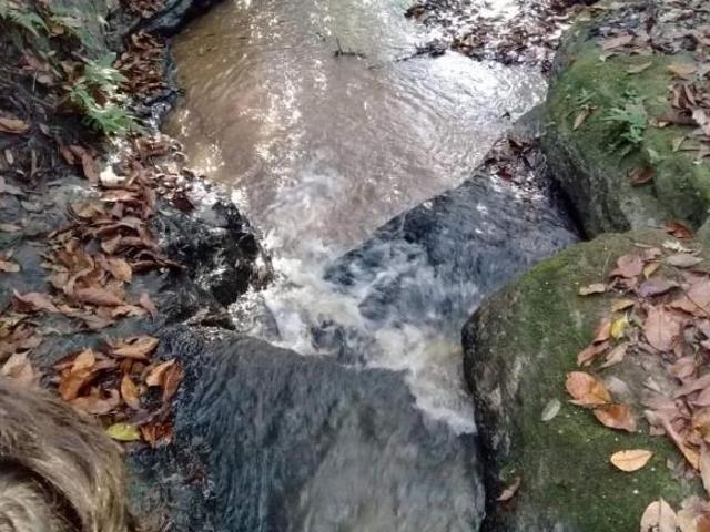 Sítio e chácara venda em Região Imediata de São José do Rio Preto, Região Metropolitana de São José do Rio Preto