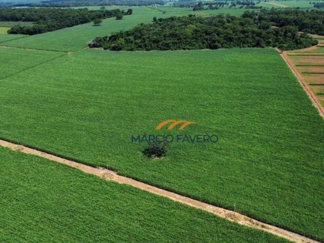 Sítio e chácara venda em Região Imediata de Fernandópolis, Fernandópolis