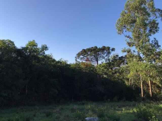 Sítio e chácara venda em Região Geográfica Imediata de Caxias do Sul, Gramado