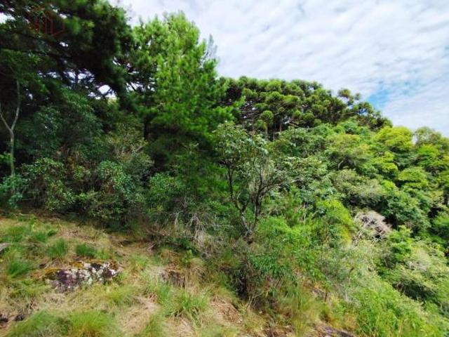 Sítio e chácara venda em Gramado