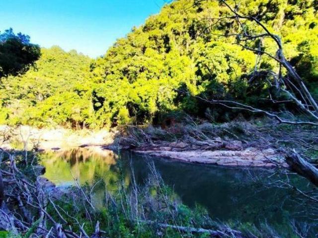Sítio e chácara venda em Gramado