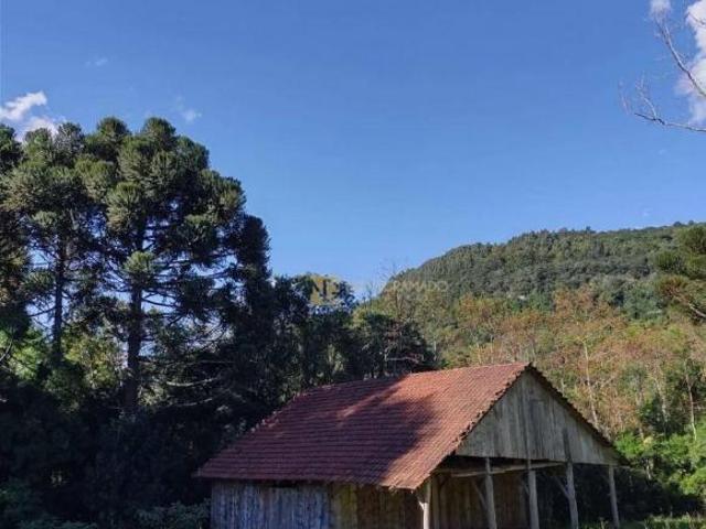 Sítio e chácara venda em Região Geográfica Imediata de Caxias do Sul, Gramado