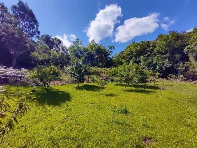 Sítio e chácara venda em Gramado