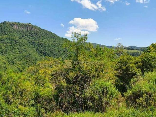 Sítio e chácara venda em Gramado