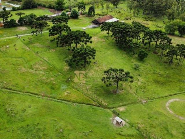Sítio e chácara venda em Gramado