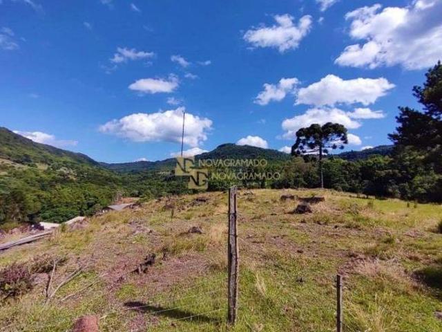 Sítio e chácara venda em Gramado