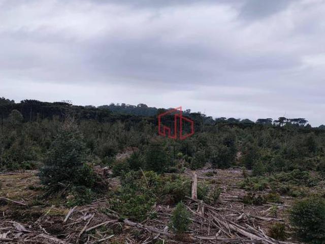 Sítio e chácara venda em Gramado