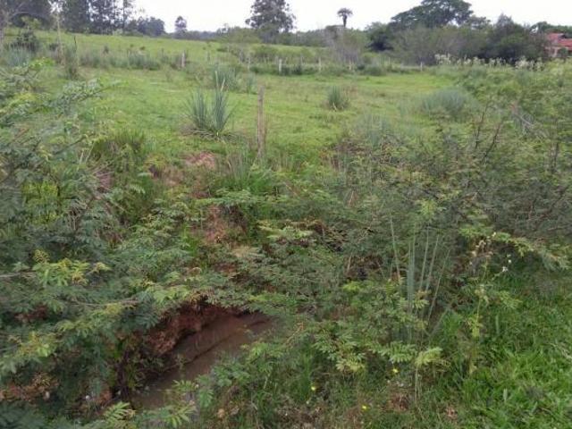 Sítio e chácara venda em Região Geográfica Imediata de Porto Alegre, Região Metropolitana de Porto Alegre