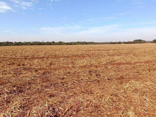 Sítio e chácara venda em Guaíra